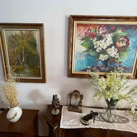 Venus - Cozy With Terrace *